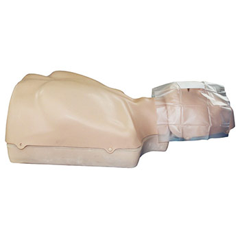 Тренажер-манекен взрослого пострадавшего для отработки приемов сердечно-легочной реанимации «ТОРС-01 СЛР» (голова, туловище)